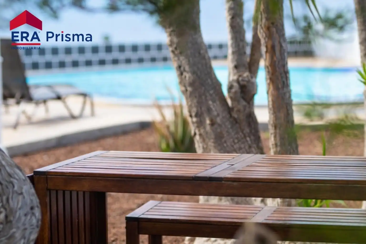 Terraza de Casa o chalet en venta en Fasnia con Aire acondicionado, Jardín privado y Piscina