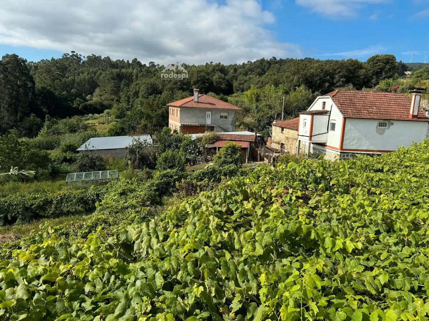 Xalet en venda a A Cañiza, imagen 25