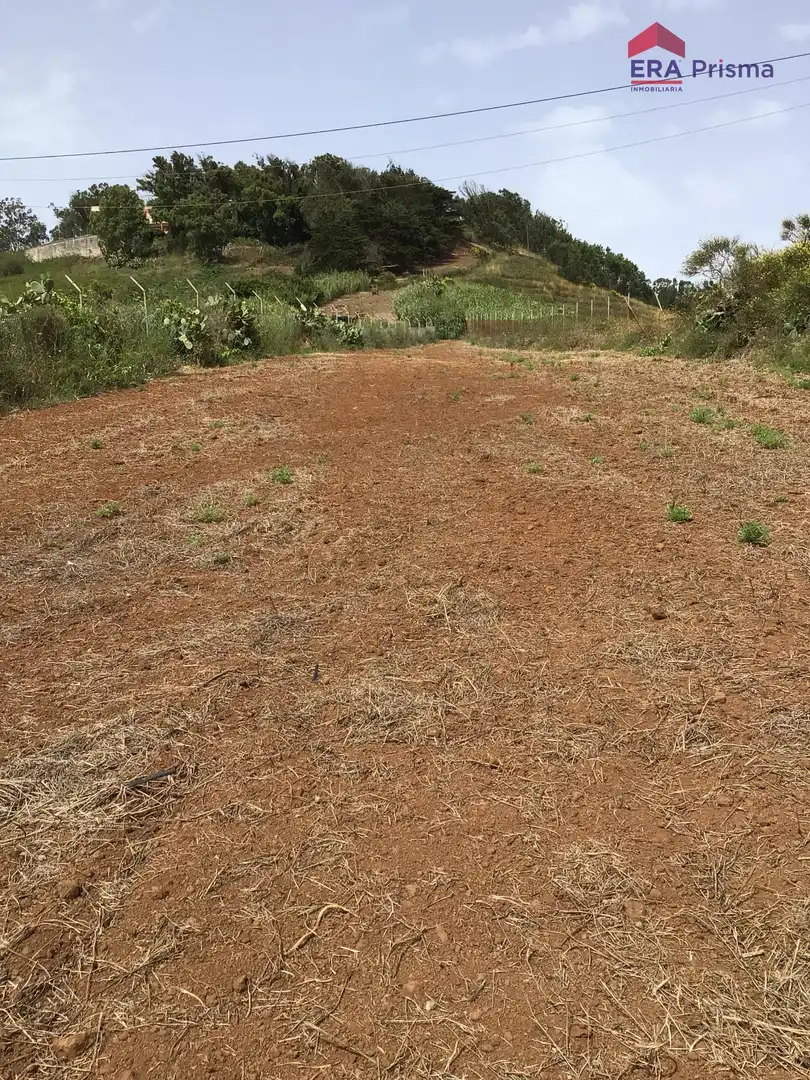 Terreny rústic en venda a Camino DEL MEDIO S/N, imagen 19