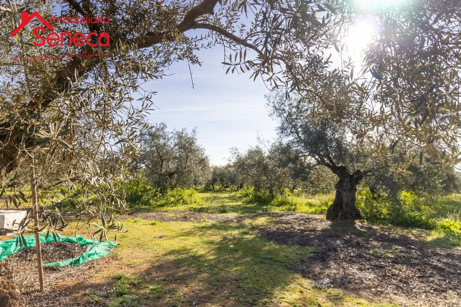Casa o chalet en venta en ADAMUZ - ALGALLARIN, Adamuz