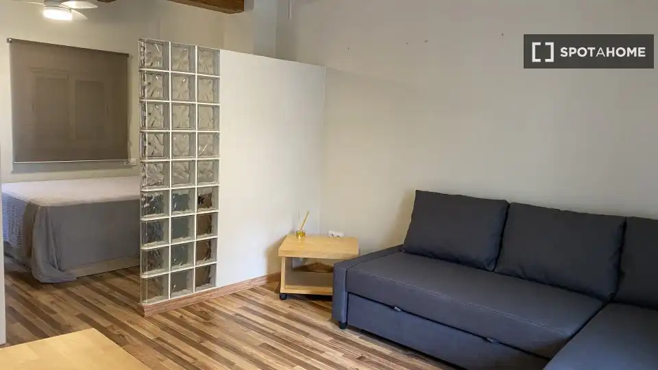 Flat with terrace to rent in Extramurs, imagen 7