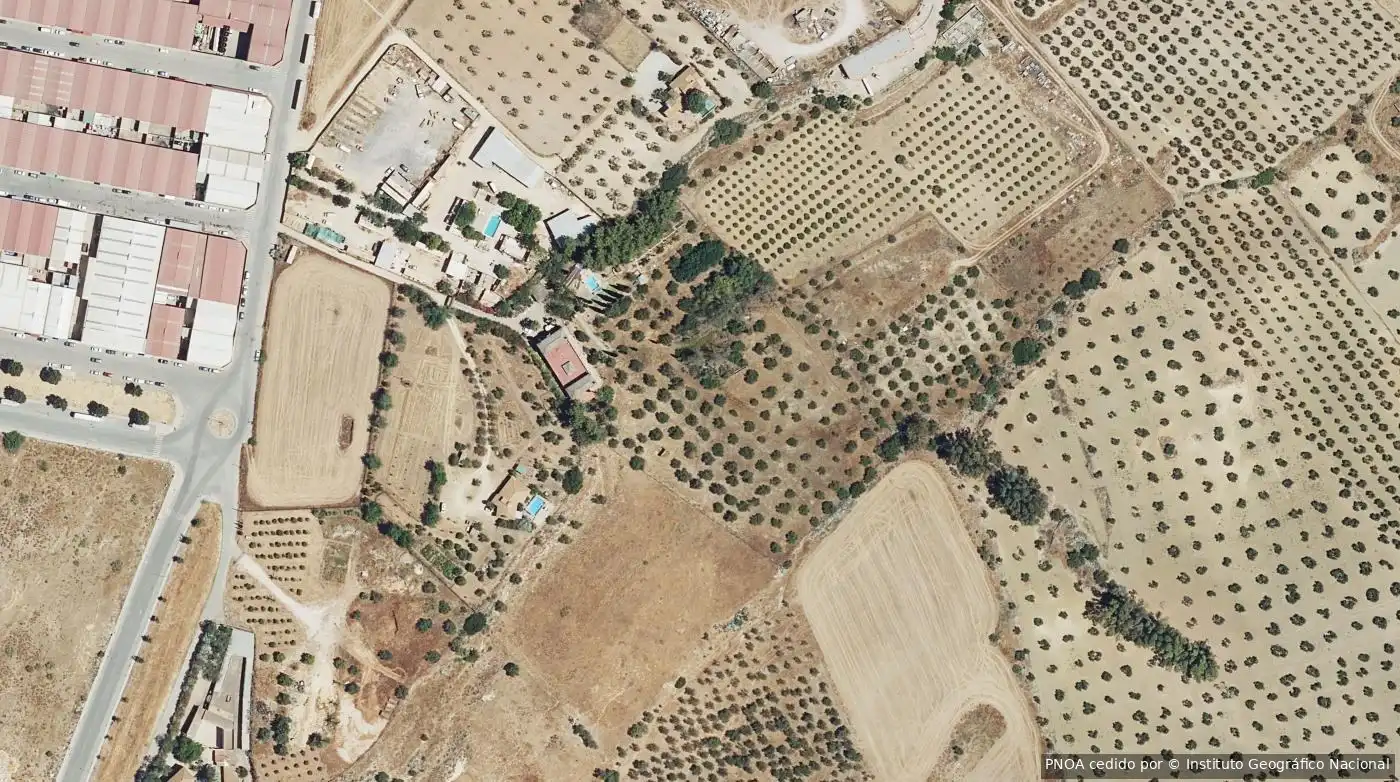 Rural land for sale in Mairena del Alcor, imagen 3
