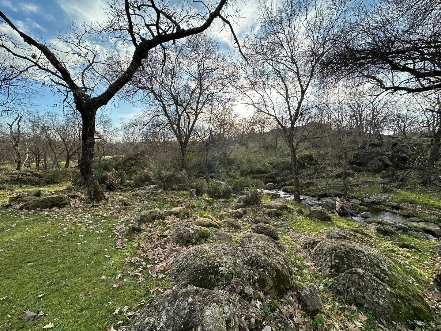 Terreni e lotti in vendita a Malpartida de Plasencia, imagen 9