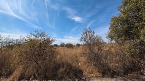 Photo 3 of Industrial land for sale in Calle Vigil, 18, Los Berrocales, Madrid