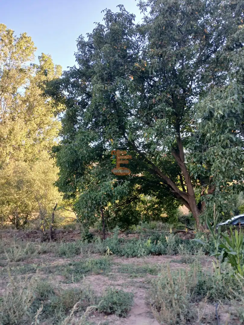 Terreni e lotti in vendita a Calle Gotor, imagen 10