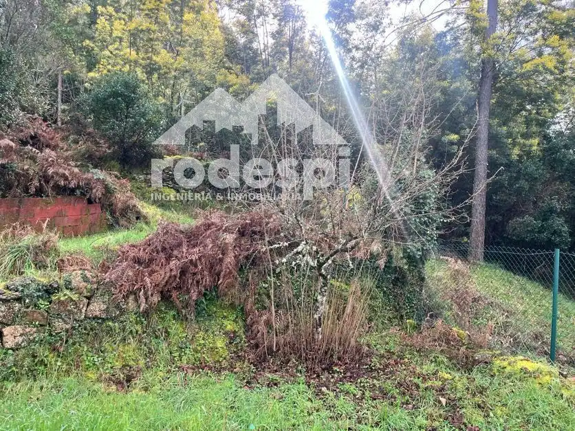 Casa o chalet en venta en Castrelo de Miño