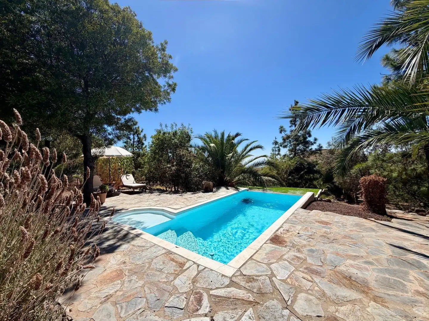 Piscina de Finca rústica en venta en Telde con Aire acondicionado, Calefacción y Jardín privado