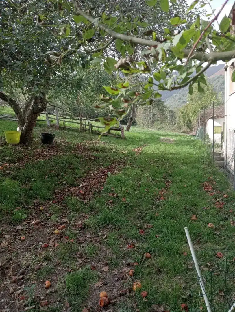 Casa o xalet en venda en Laviana amb Balcó