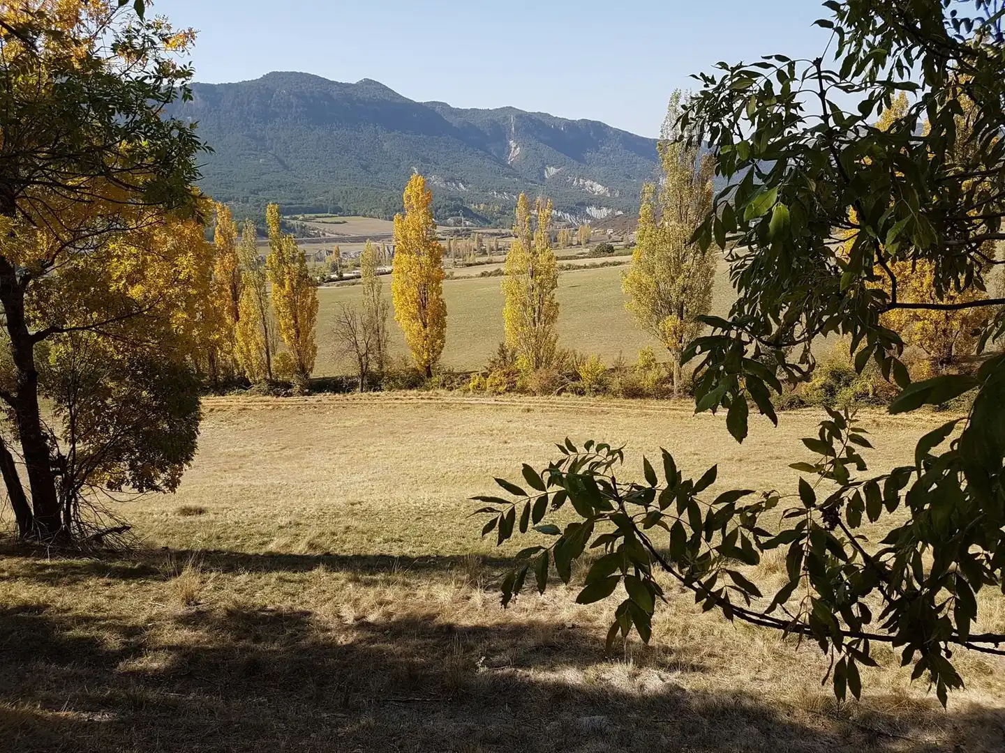Finca rústica en venda en Torre la Ribera amb Terrassa i Traster
