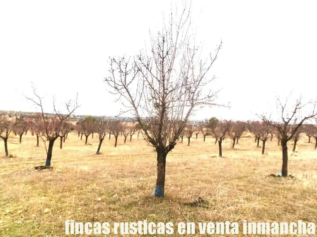 Terreni e lotti in vendita a Sonseca, imagen 3