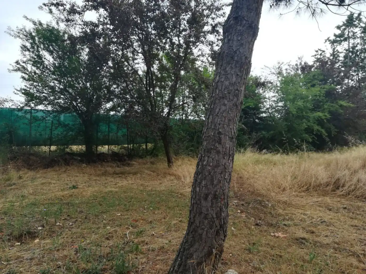 Casa rústica en venda a Urbanizacion Urbanizacion LA VIÑA, ULTIM, imagen 17