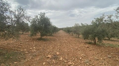 FINCA RÚSTICA EN PADUL