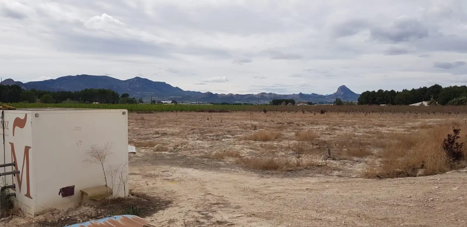 Rustikales Grundstück zum Verkauf in Cieza, imagen 21
