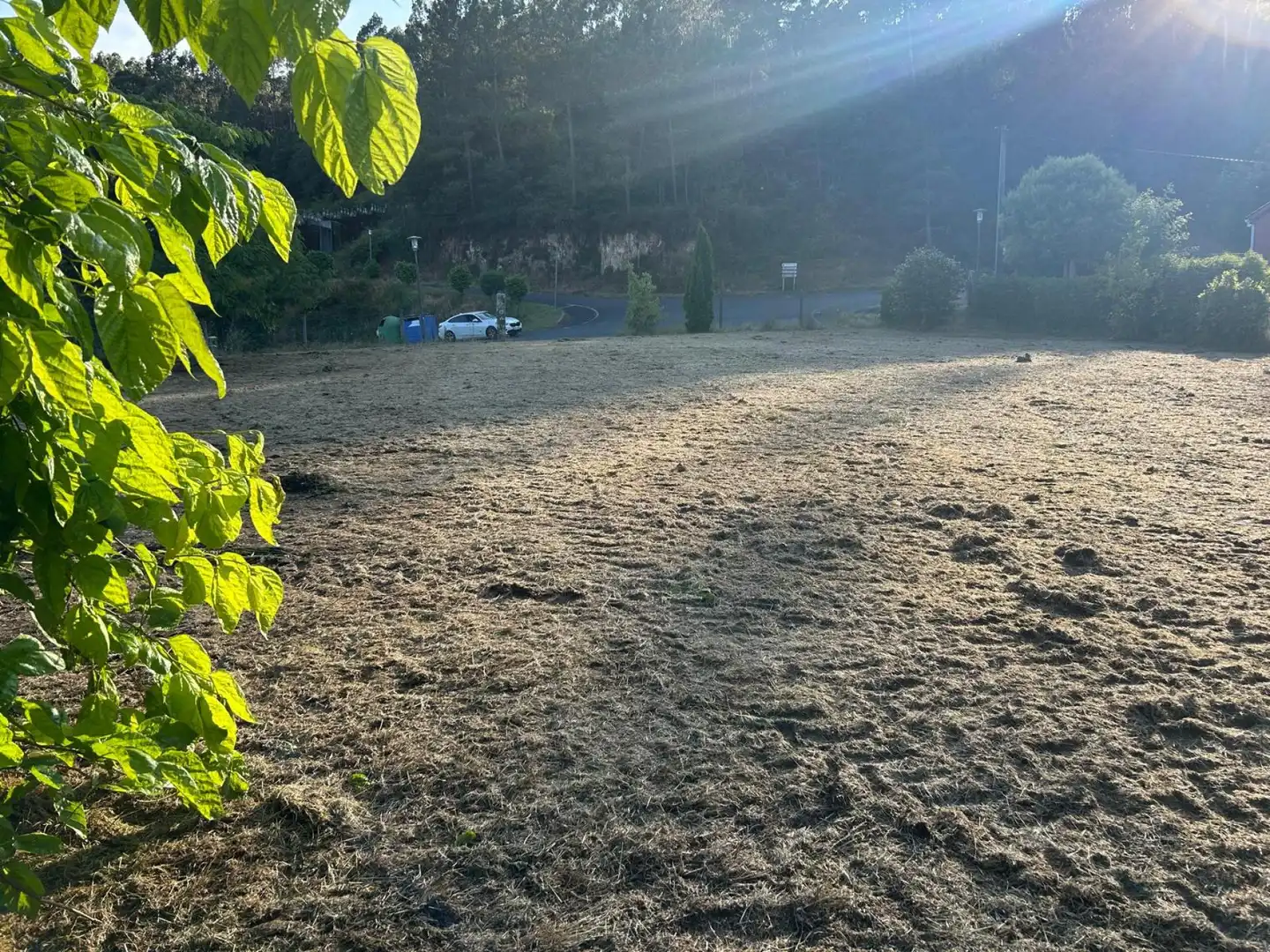 Terreni e lotti in vendita a Soigrexa, imagen 4