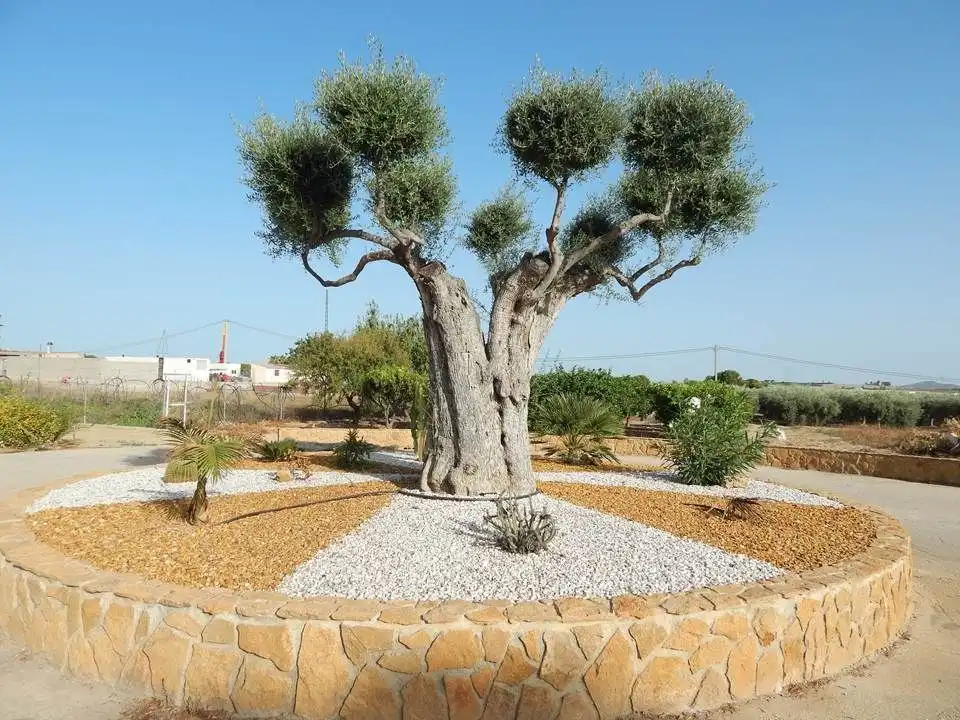 Casa amb jardí en venda a Vera Ciudad, imagen 71
