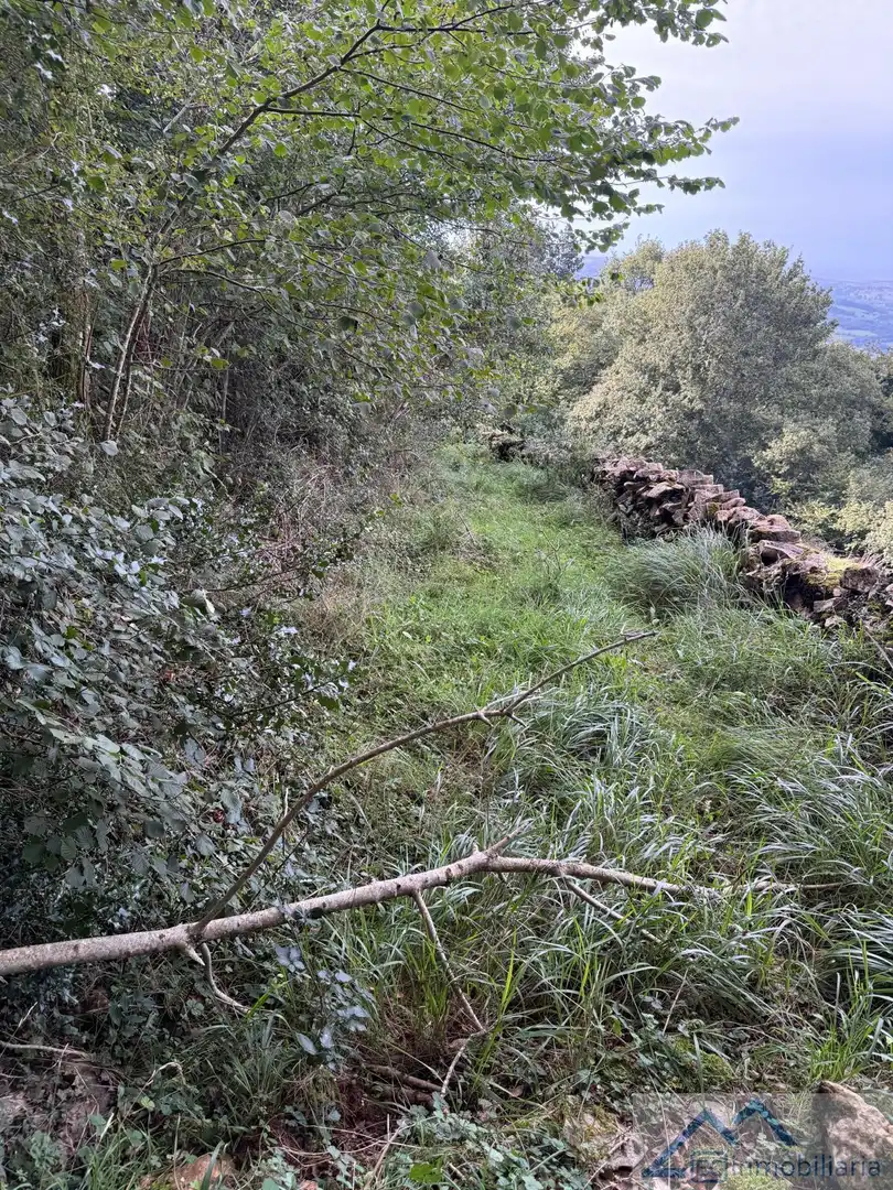 Casa o xalet en venda en Entrambasaguas