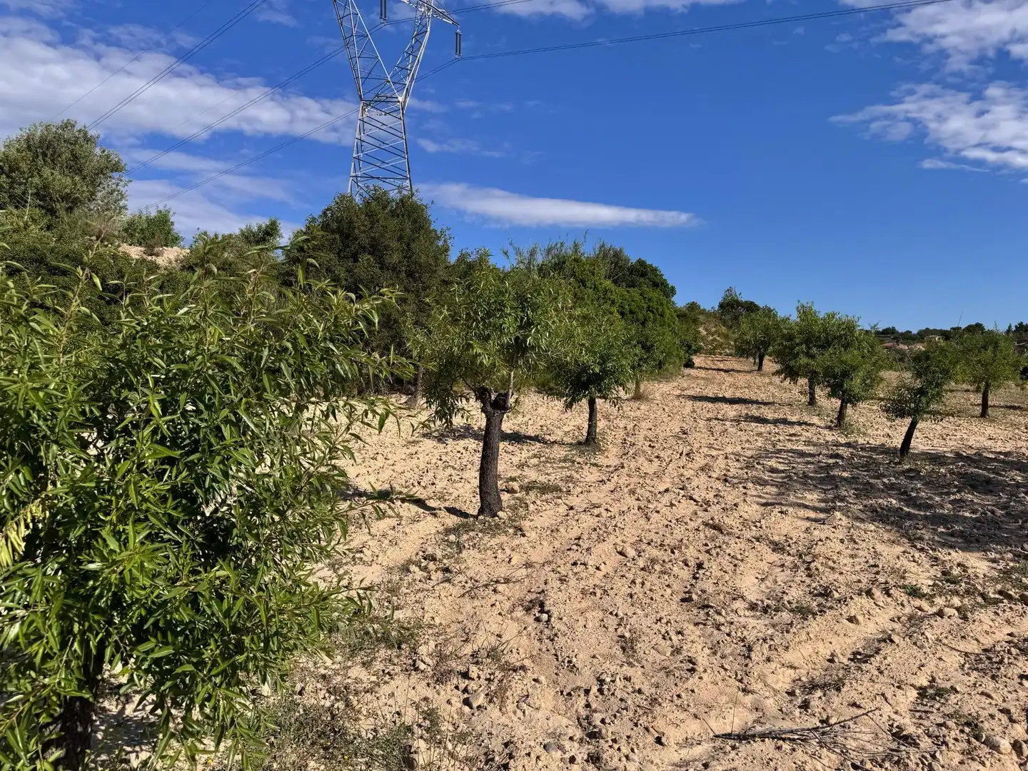Land for sale in Polígono 26 Parcela 21 CASA BLANCA-BARBETA. TORRE, 26, Poligono Mas del Jutge