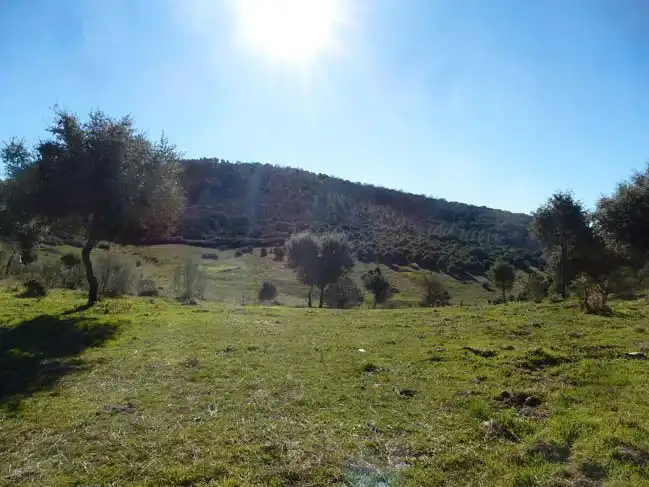 Residential for sale in El Real de San Vicente