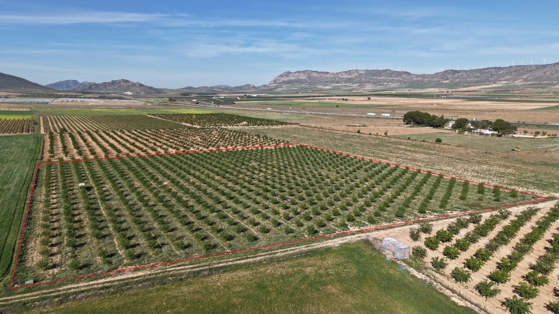 Garden of Residential for sale in Yecla