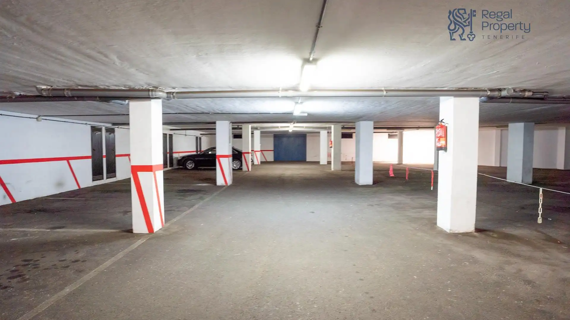 Ground floor with pool for sale in Zona Botánico, imagen 17