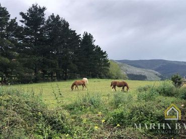 Terreno residencial en venta en Diseminado la serna