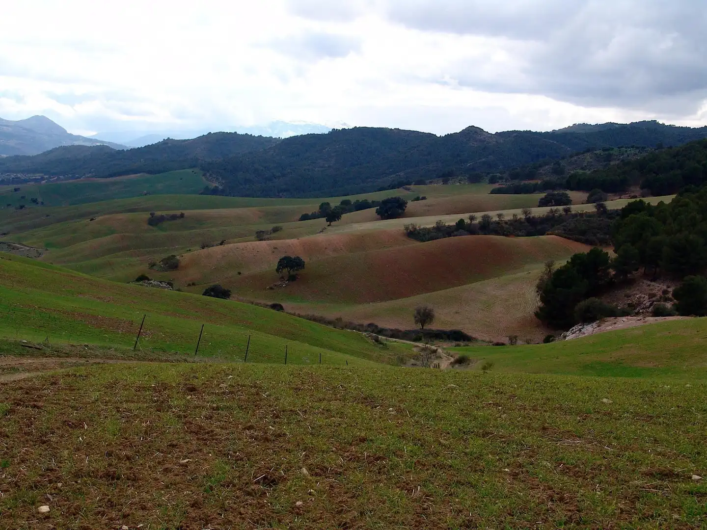 Terreno residenziale in vendita a Ardales, imagen 22