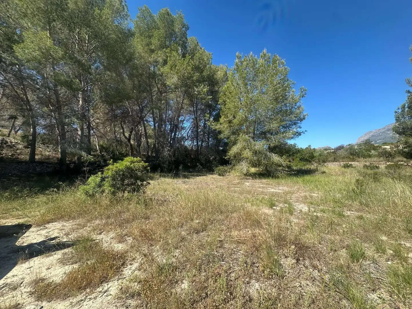 Terreno en venta en L'Alfàs del Pi