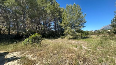 Foto 5 de Terreno en venta en Camí del Sarandó, 28, Pueblo - Urbanizaciones, L'Alfàs del Pi