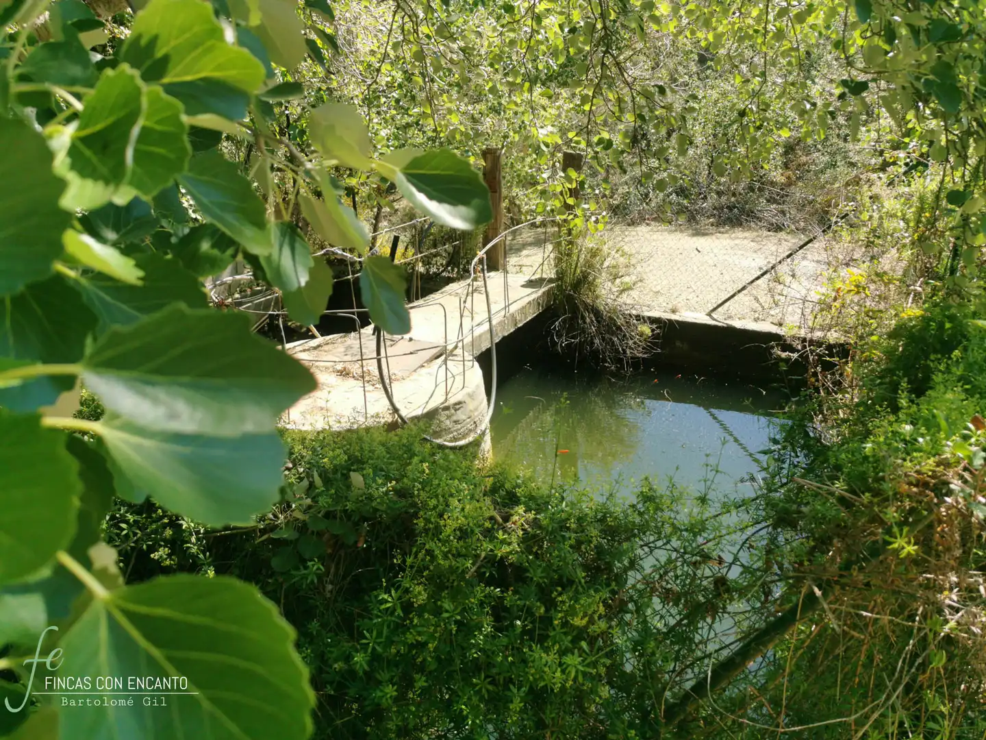 Piscina de Finca rústica en venda en Málaga amb Calefacció, Jardí privat i Piscina