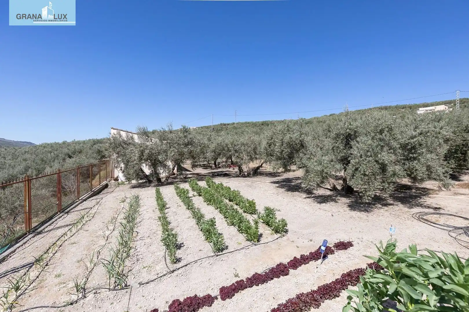 Casa rustica con terrazza in vendita a Montefrío, imagen 42
