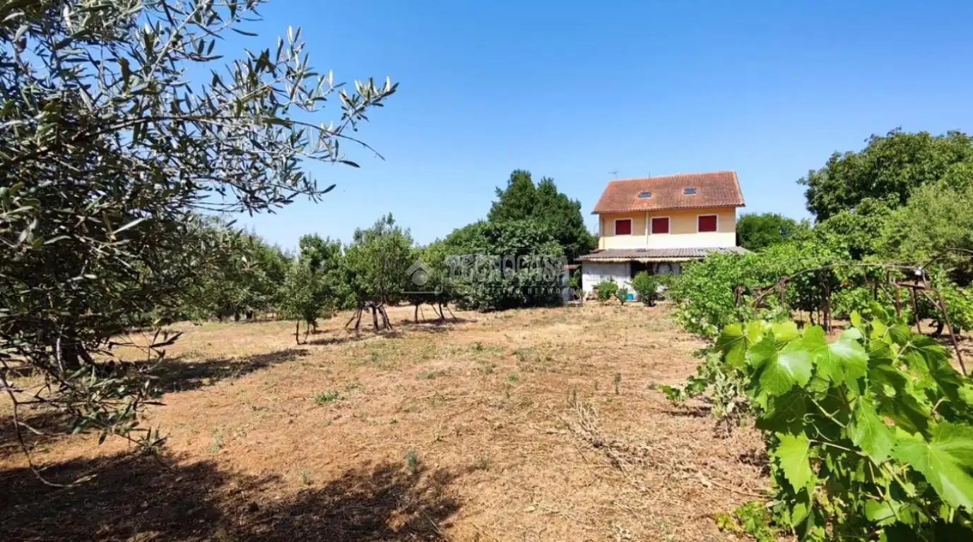 Casa o xalet en venda en Valdeavero amb Calefacció, Terrassa i Traster