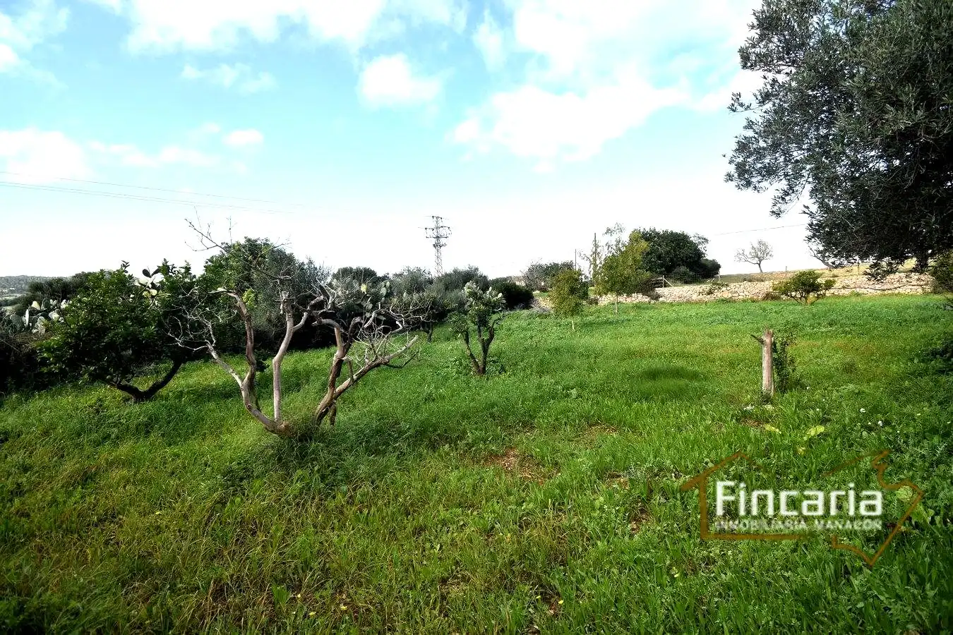 Casa rústica con jardín en venta en De Manacor, imagen 19