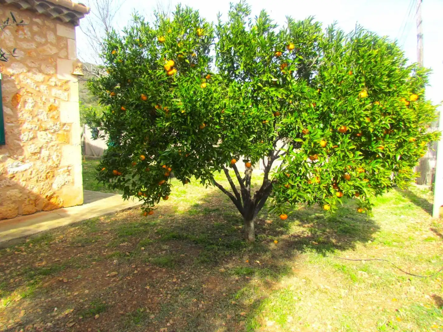 Jardín de Finca rústica de alquiler en Santa Eugènia con Aire acondicionado, Jardín privado y Terraza