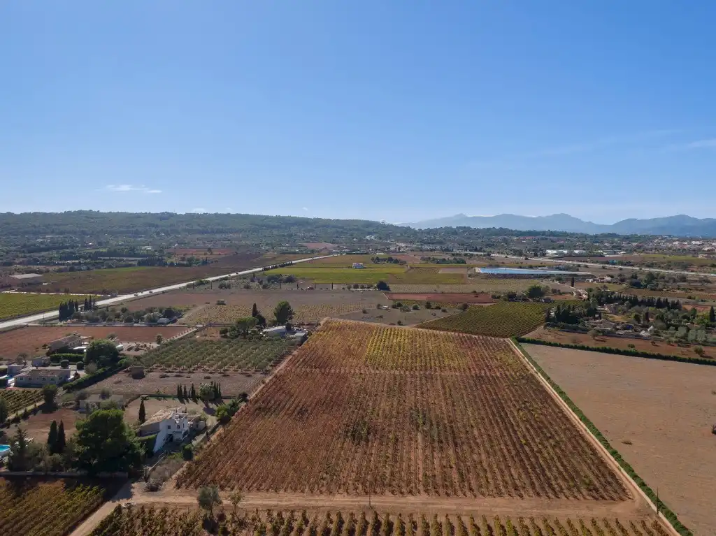 Terreny rústic en venda a Santa María del Camí, imagen 9