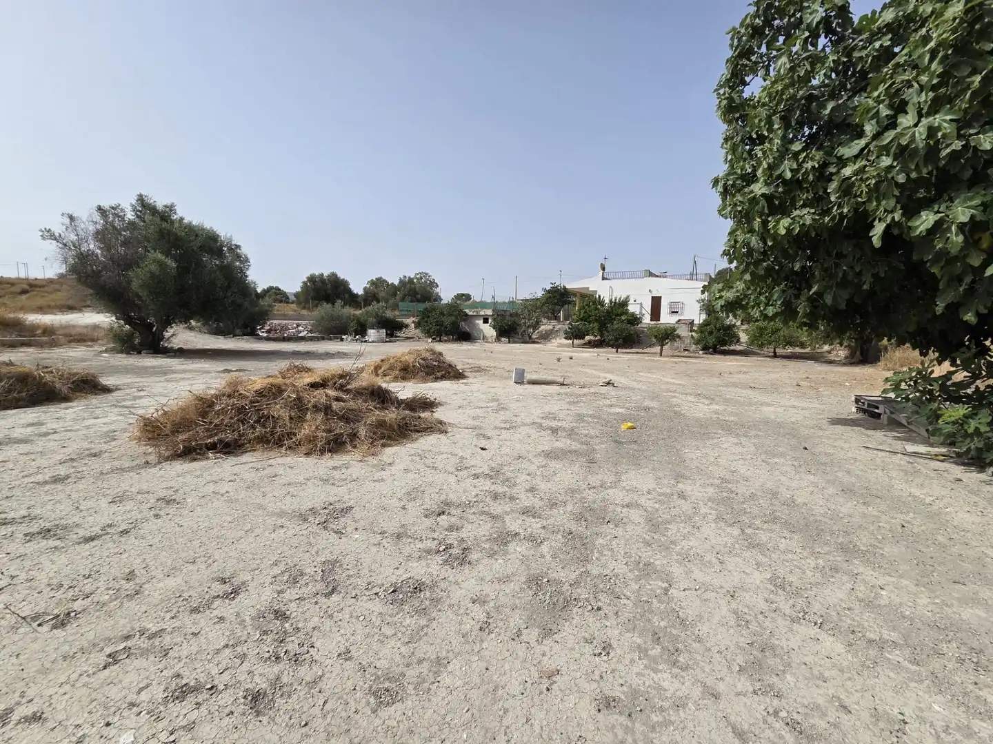 Chalet en venta en Ribera de Molina - Torrealta, imagen 21
