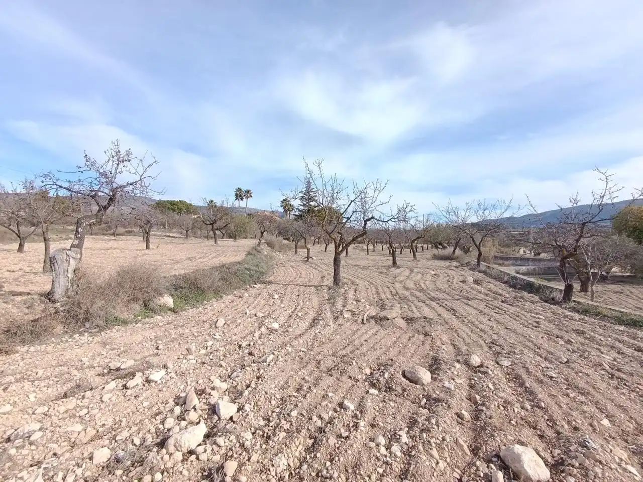 Finca rústica en venta en Ibi