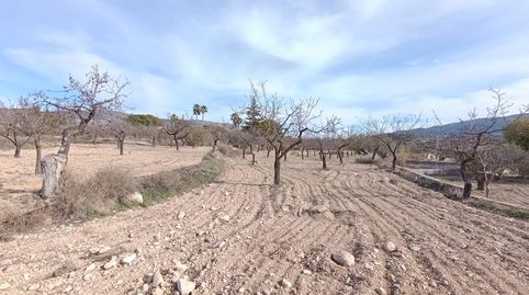 Foto 4 de Finca rústica en venta en Ibi, Alicante