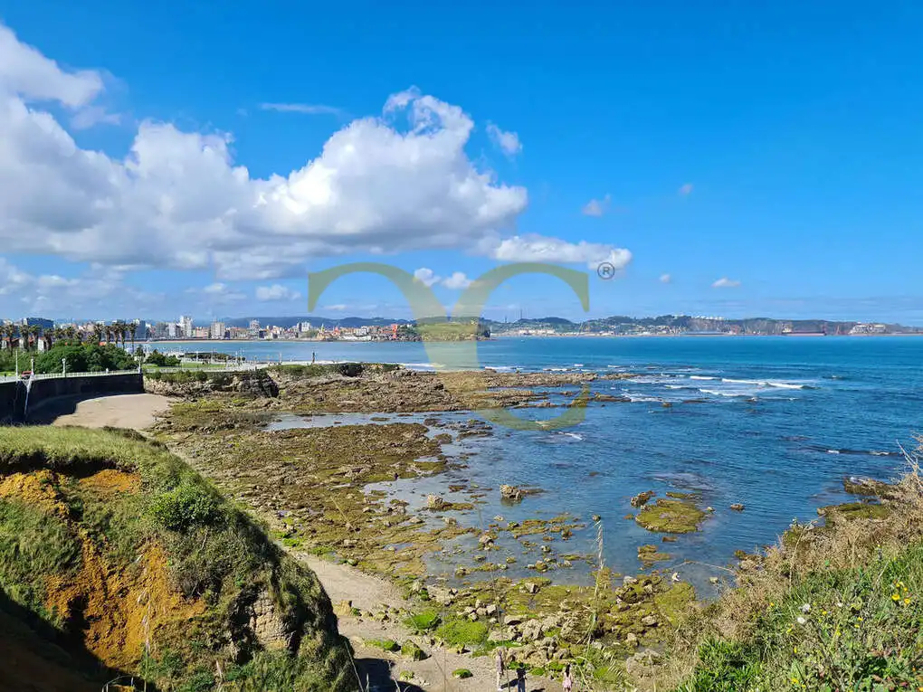 Vista exterior de Casa o chalet en venta en Gijón  con Calefacción, Jardín privado y Terraza