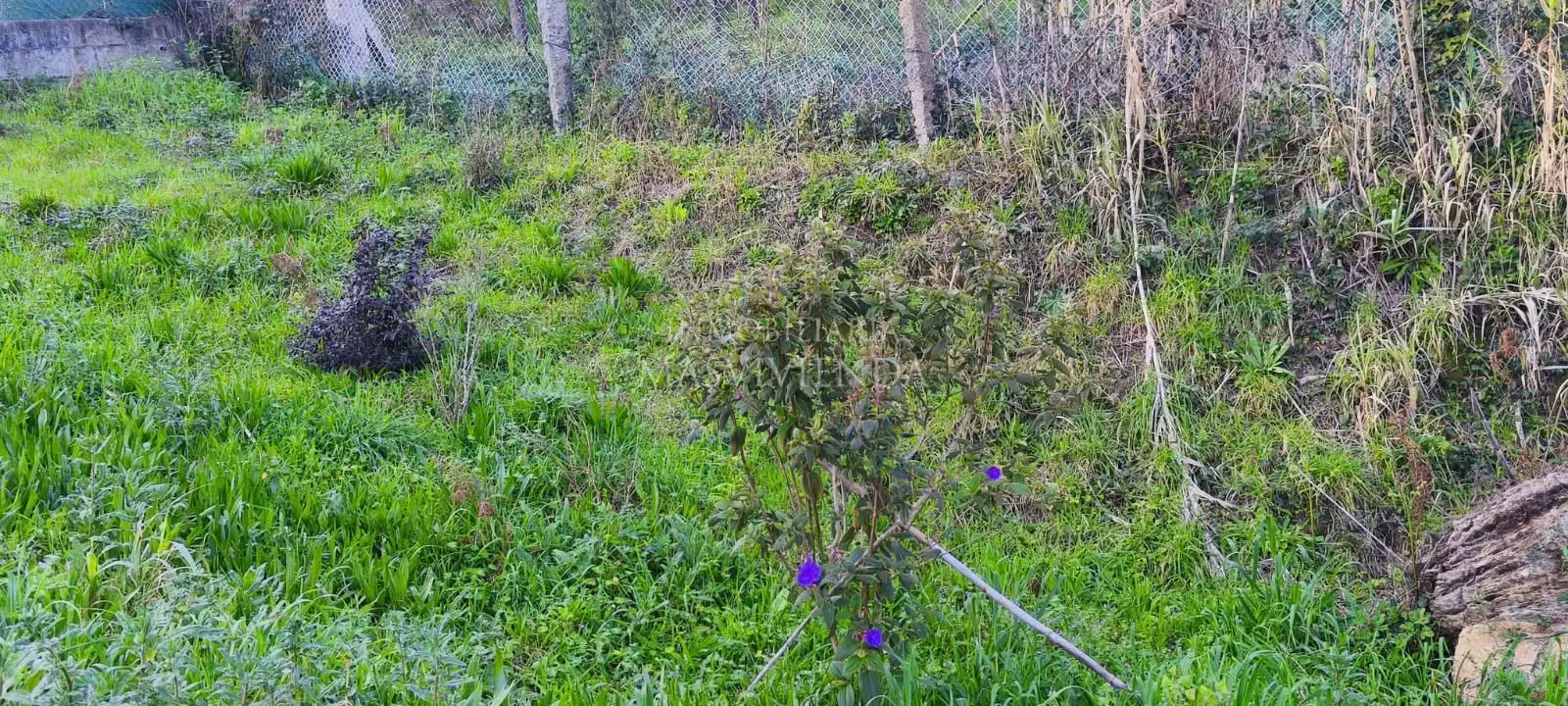 Detached homes for sale in Arrufana (Da)-Louredo, Mos