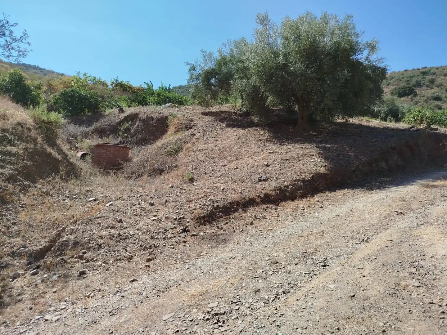 Terreni e lotti in vendita a Este, imagen 12