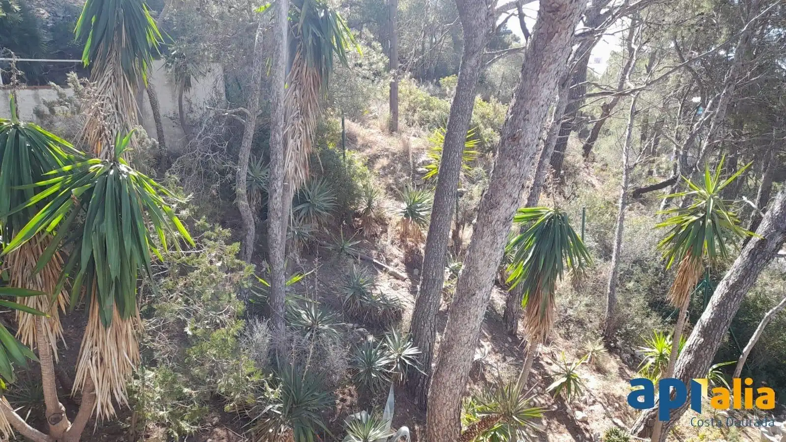 Chalet con piscina en venta en Pla de Maset - Cap de Salou, imagen 45