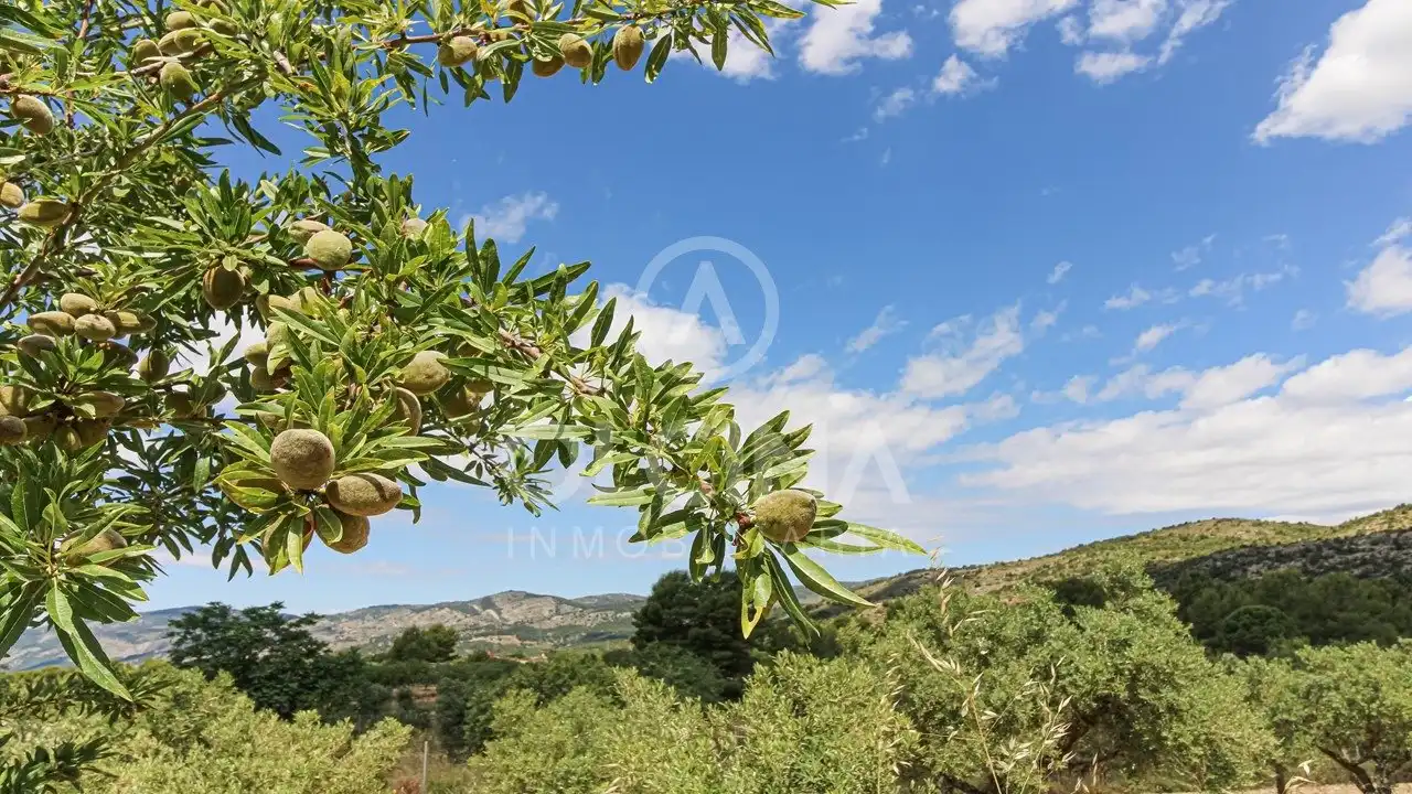 Jardín de Finca rústica en venta en Onil con Aire acondicionado y Terraza
