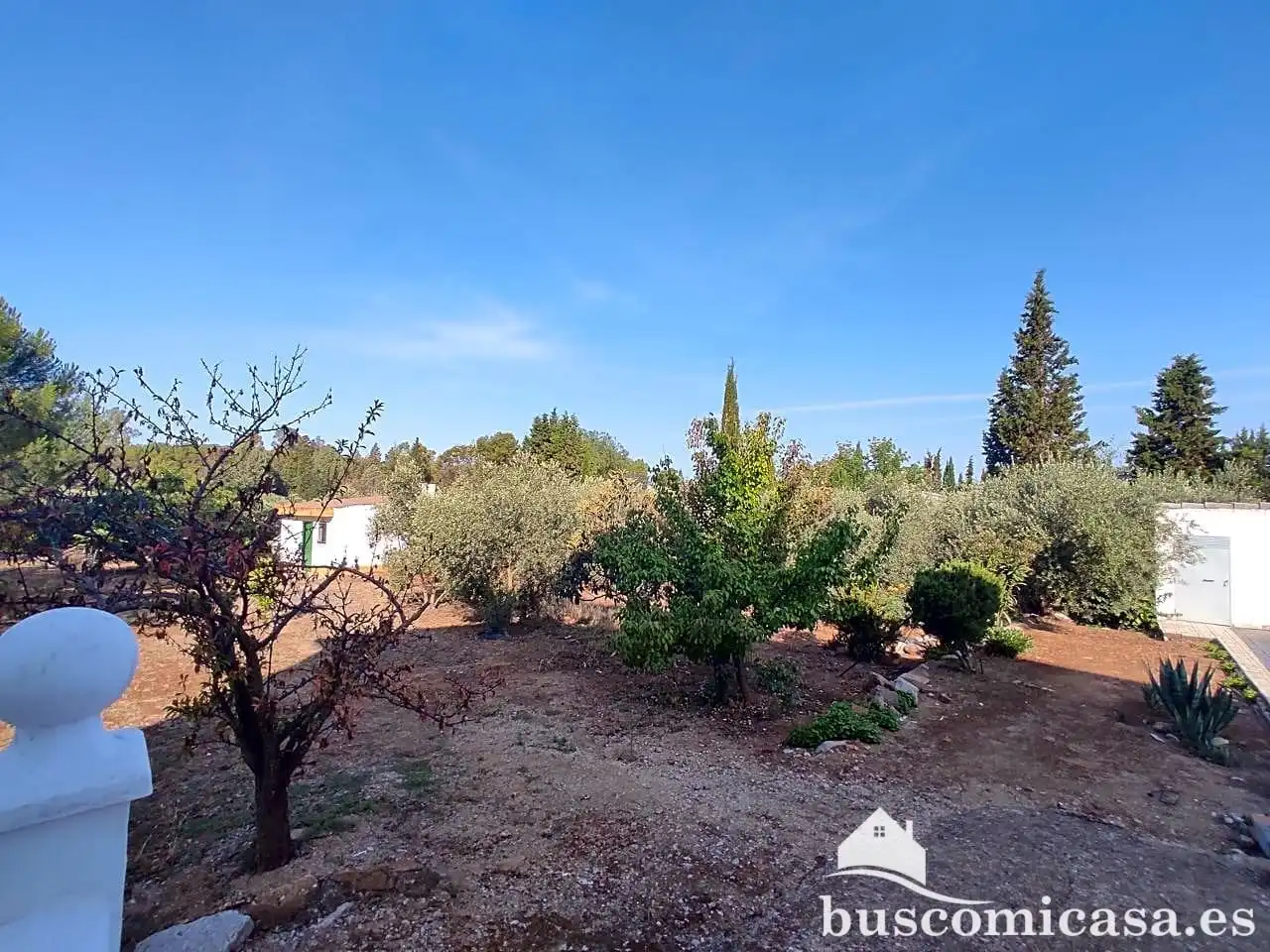 Casa rústica amb piscina en venda a Principal, imagen 50