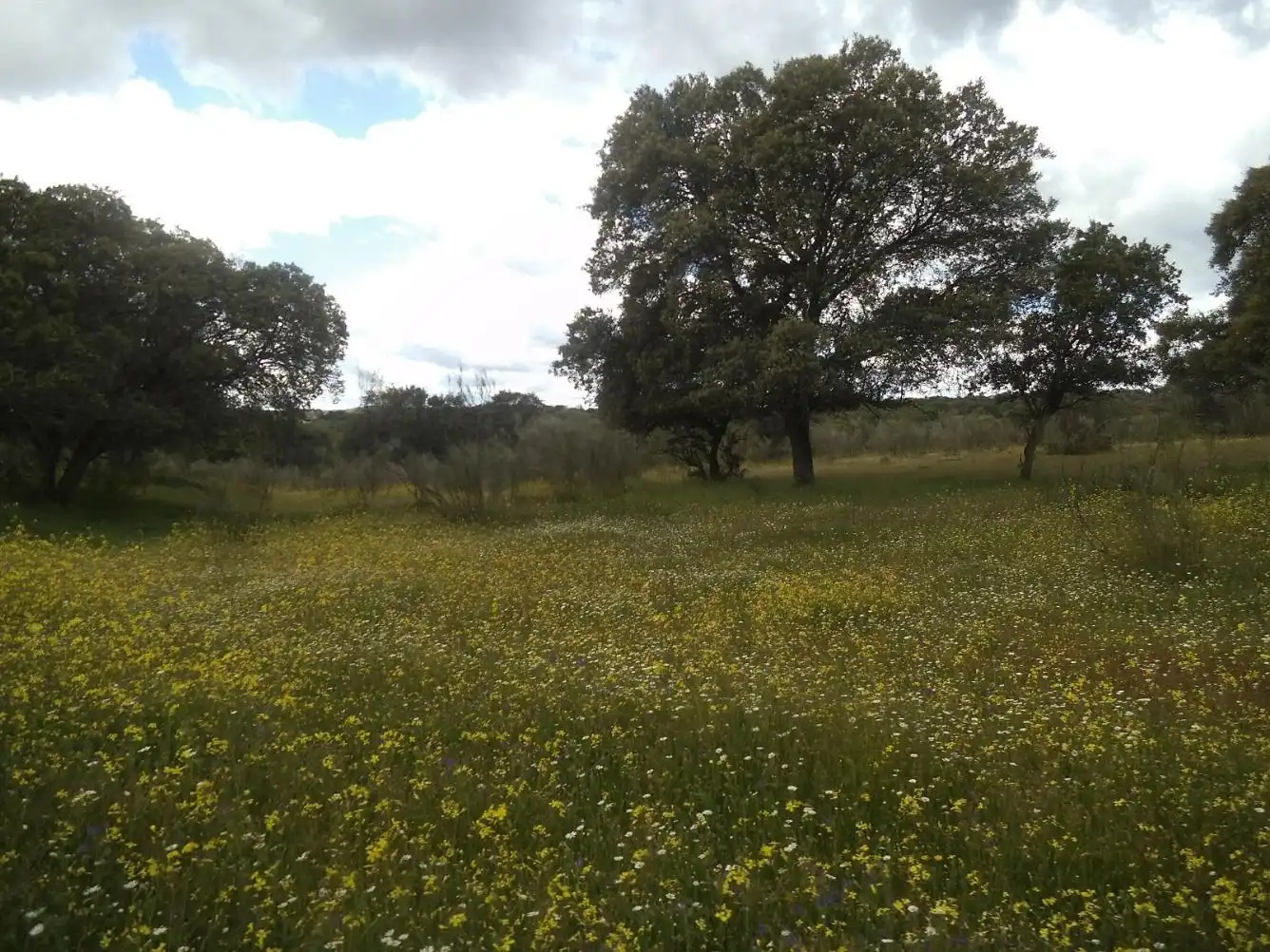 Residencial en venda en Valdemorillo