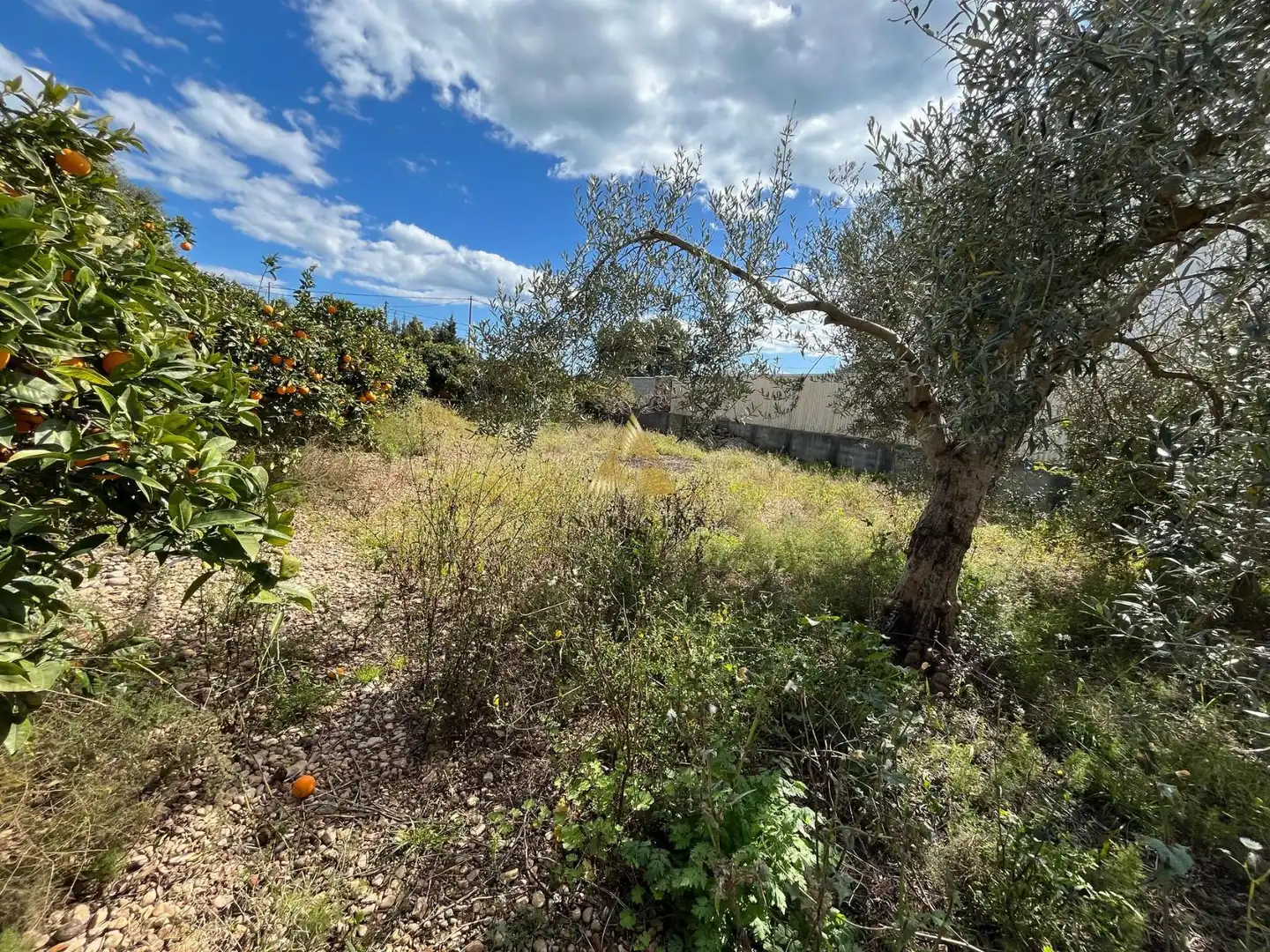 Terrenos y solares en venta en Pueblo, imagen 5
