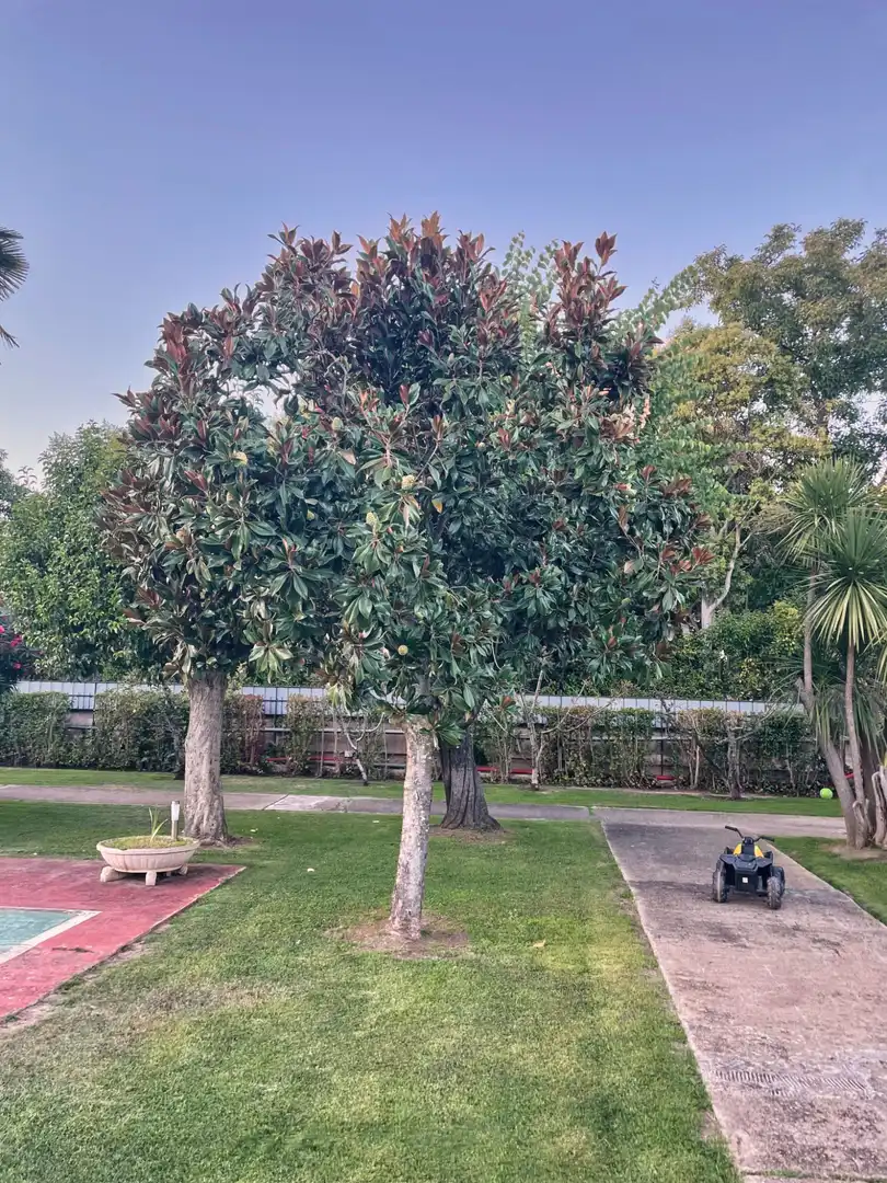 Jardín de Casa o chalet en venta en Albelda de Iregua con Aire acondicionado, Calefacción y Jardín privado