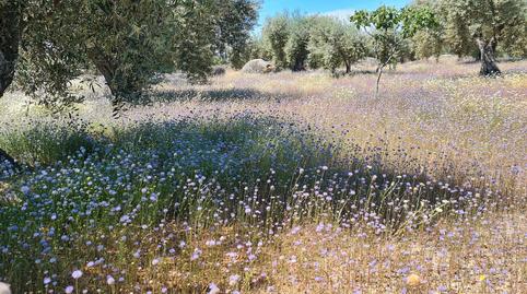 Photo 2 of Country house for sale in N/a, Montánchez, Cáceres