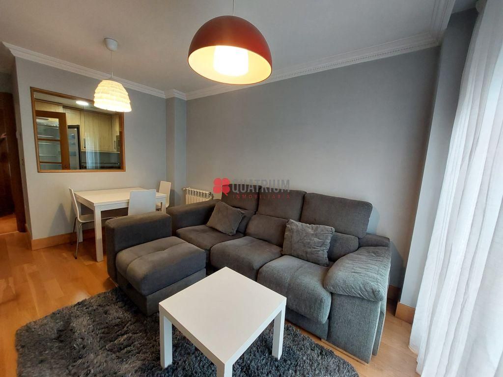 Sala d'estar de Pis de lloguer en Santiago de Compostela  amb Moblat i Piscina comunitària