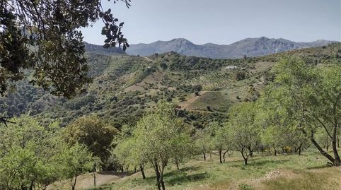 Foto 2 von Grundstücke zum Verkauf in Diseminado Poligono 1, 2, Benadalid, Málaga