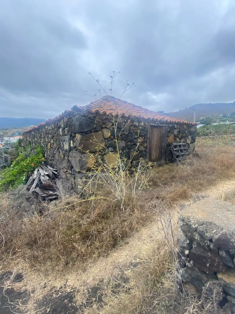 Vista exterior de Finca rústica en venta en Los Llanos de Aridane con Jardín privado y Amueblado
